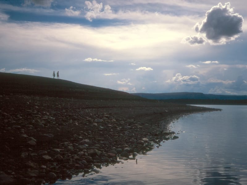 Boys on uninhabited island