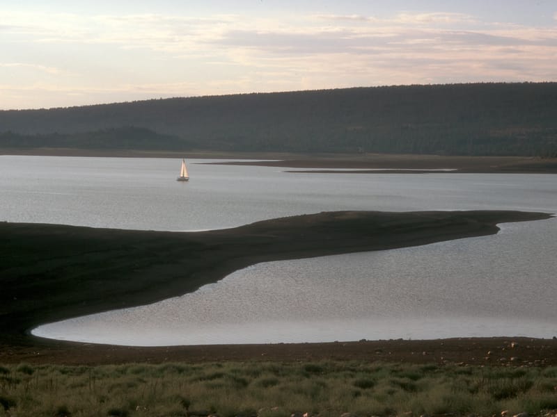 Lone neighbor sailing at dusk on Heron Lake
