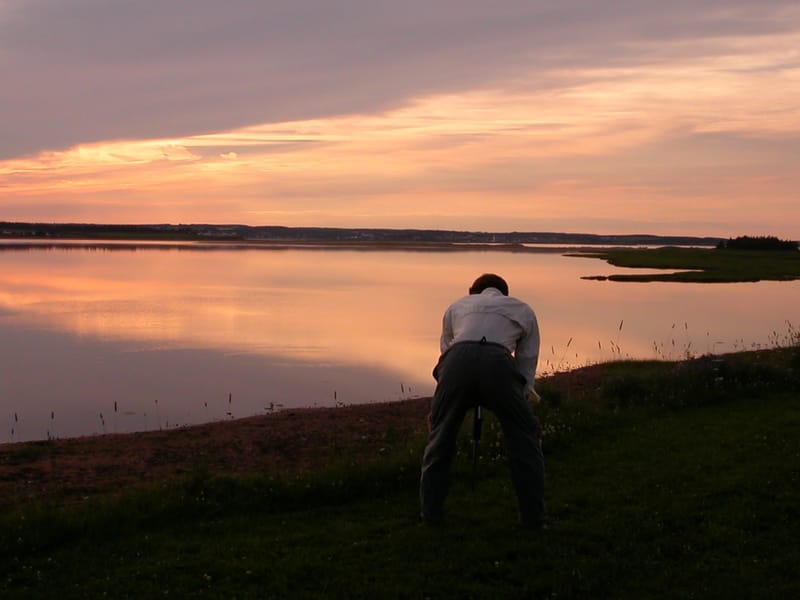 Herb with filmless camera