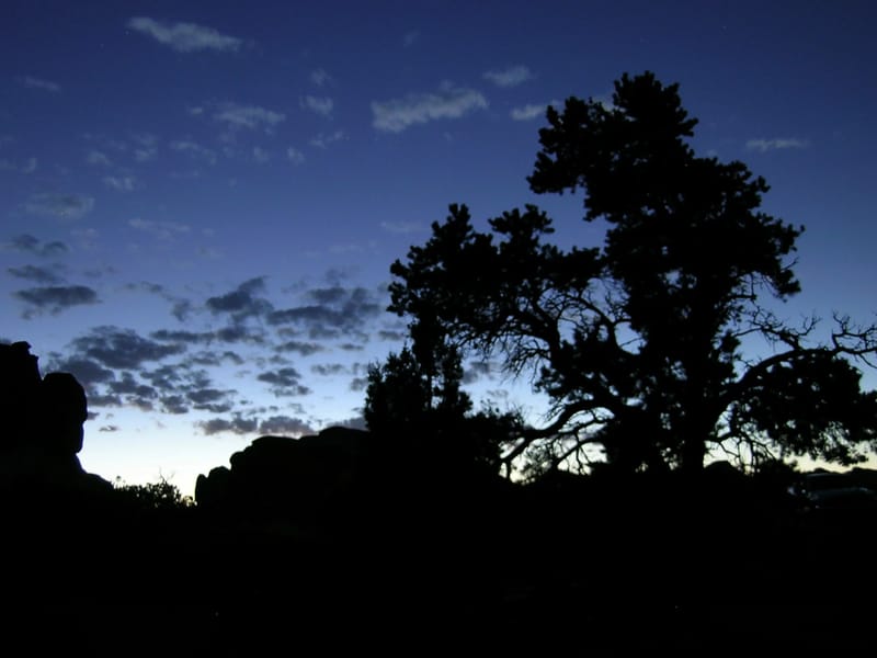 Andrew's night shot experiment