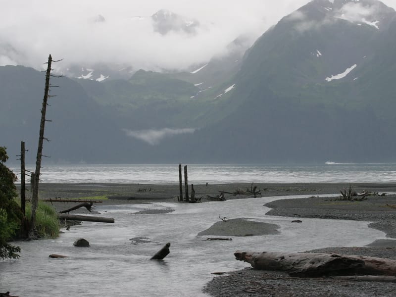 Caine's Head Coastal Trail