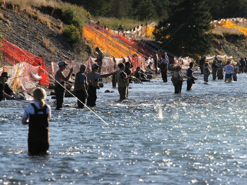 Combat fishing at the Confluence
