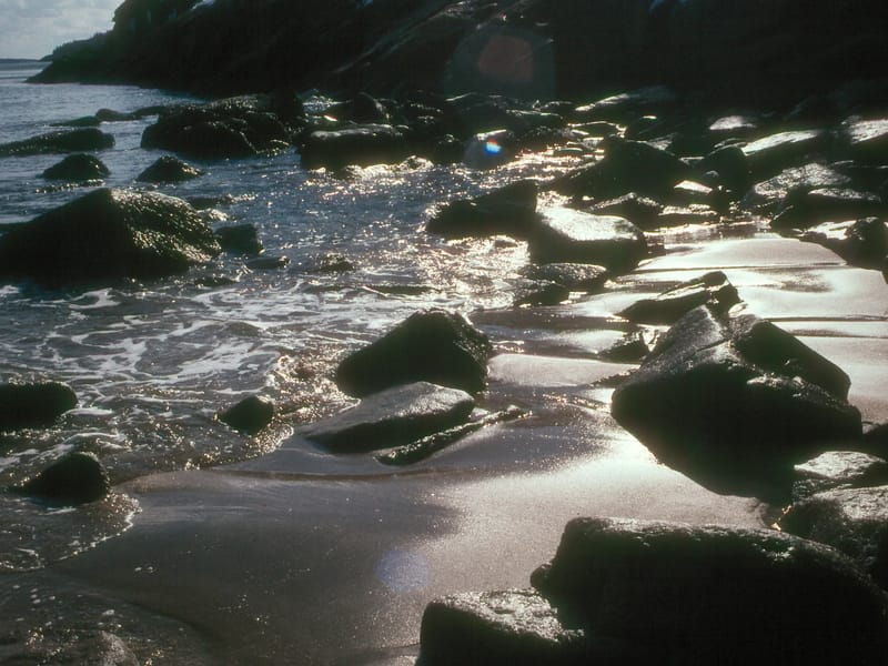 Sandy Beach in Winter