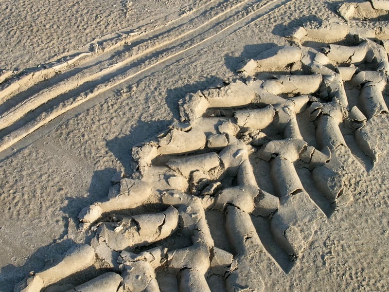 Herb and boys at Castillo