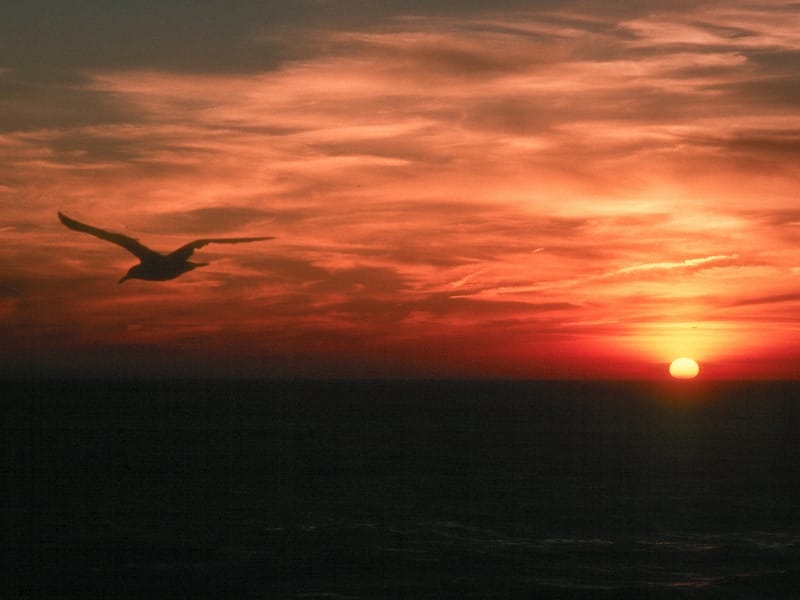 Sunset at Herring Cove Beach