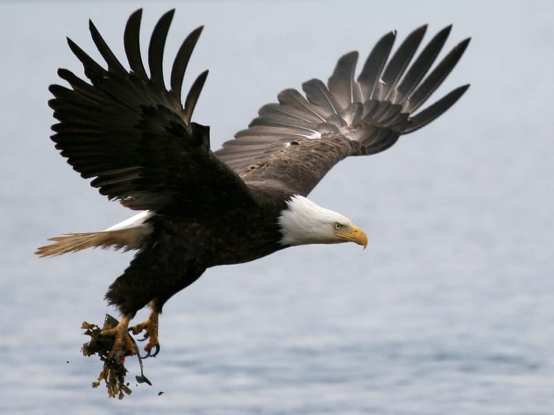 Tom getting waterfall "big air"