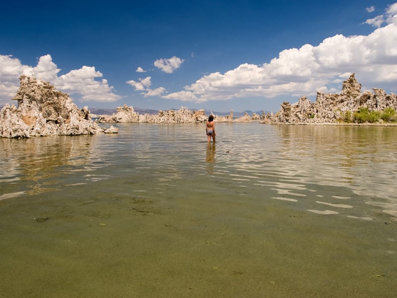 Lolo exploring Tufas of Mono Lake