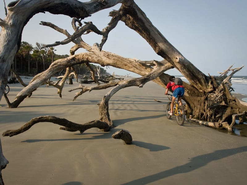 Andrew biking under tree on beach
