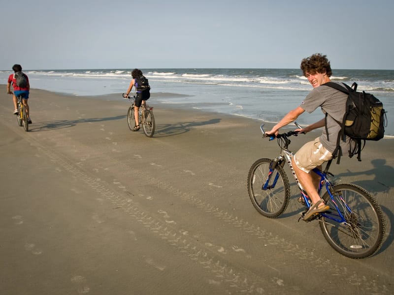 Family biking along shoreline