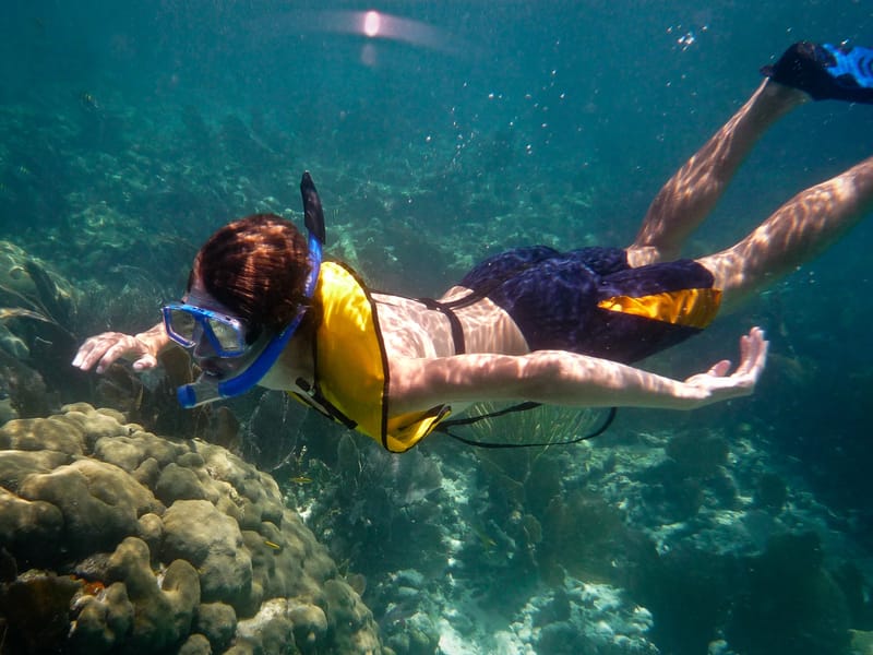 Tommy Snorkeling - AJG