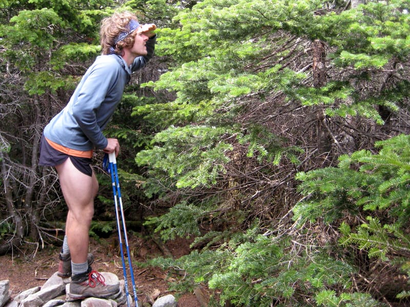 Spectacular view from Zealand Mt.