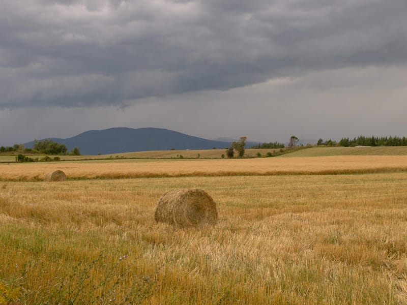 Approaching Thunderstorm