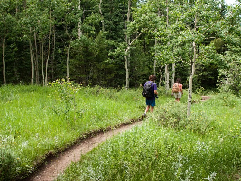 Hiking the Raccoon Loop Trail