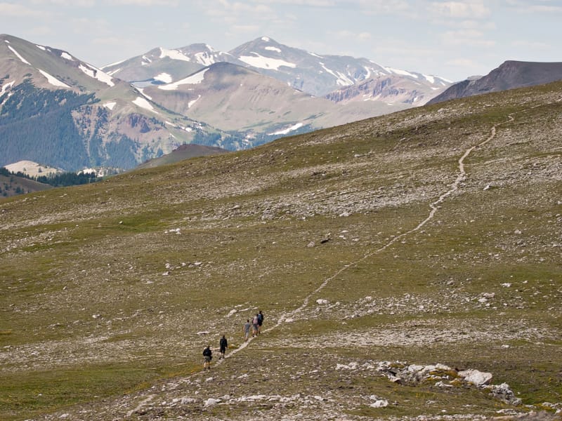 Trail hiking back from Mt. Ida
