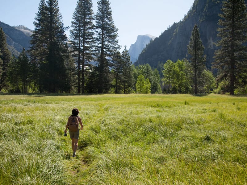 Lolo Hiking to Camp 4