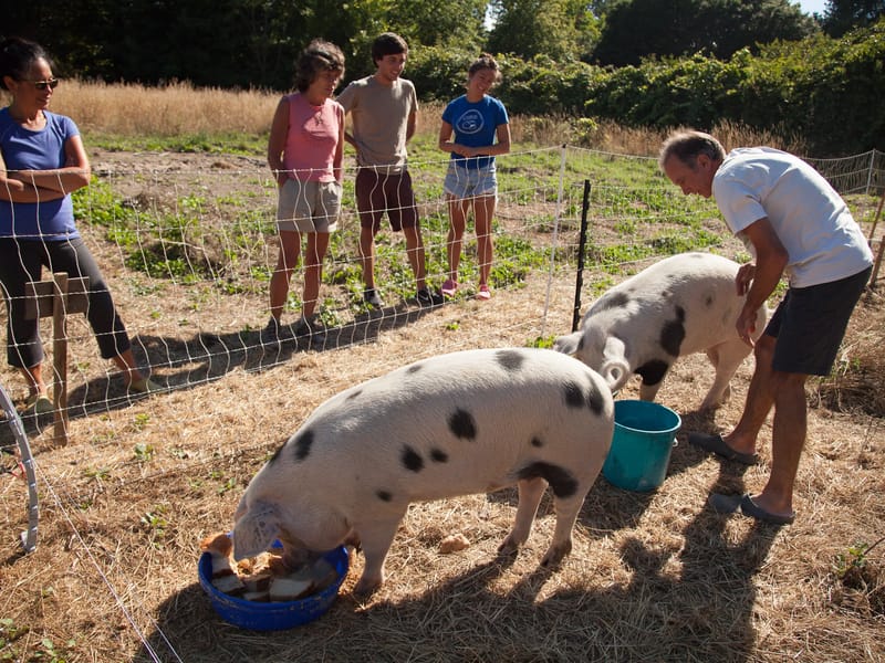 Bacon and Prosciutto