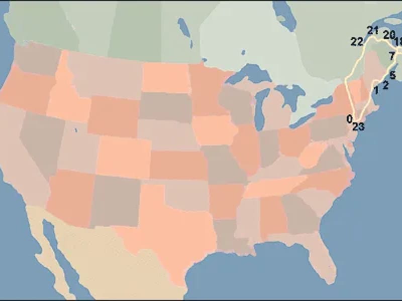 Lolo with Pier 39 Tourists