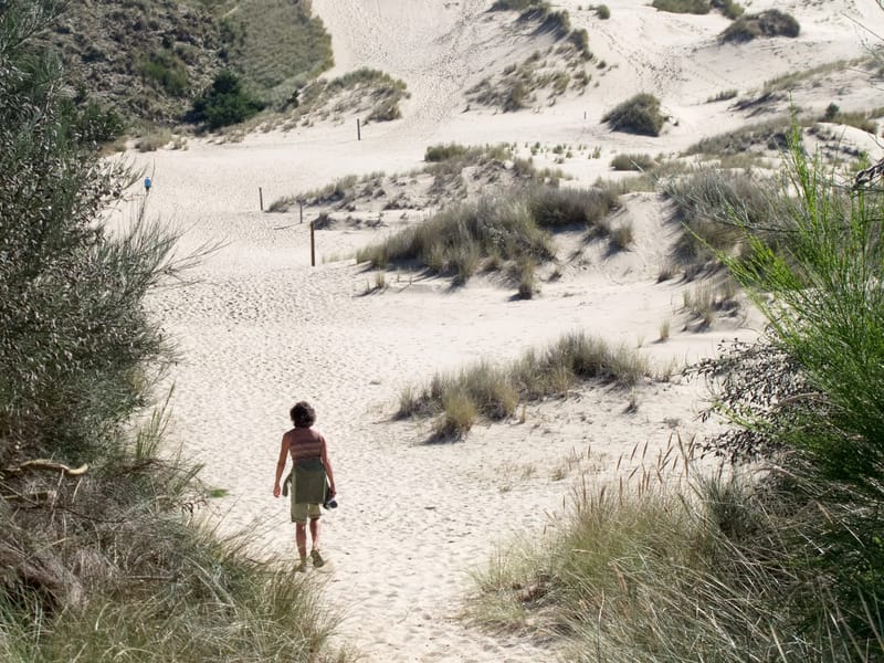 Oregon Dunes National Recreation Area