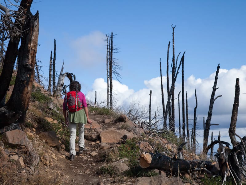 Lolo Hiking Black Butte