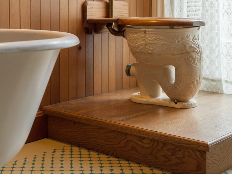 Bidwell Mansion Elephant Trunk Toilet