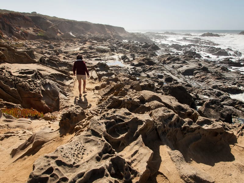 Lolo of Pebble Beach in Pescadero