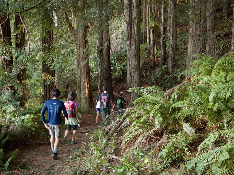 Pomo Canyon / Red Hill loop trail Hike