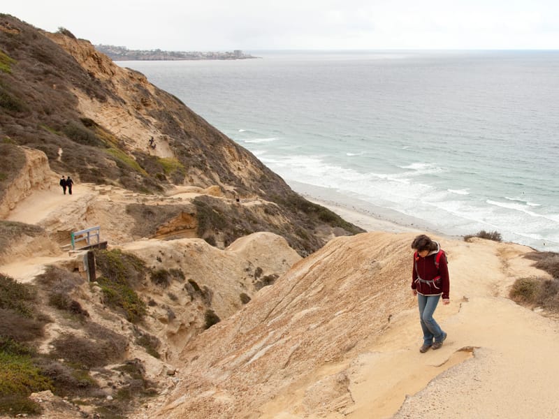 Hike Down to Torrey Pines State Beach