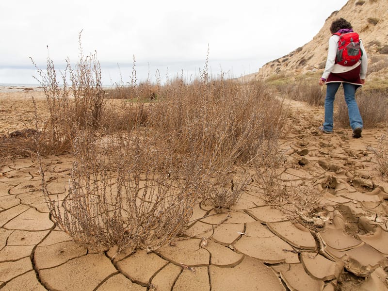Torrey Pines State Beach Clay
