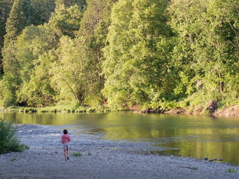 Lolo on South Umpqua River in Stanton Park