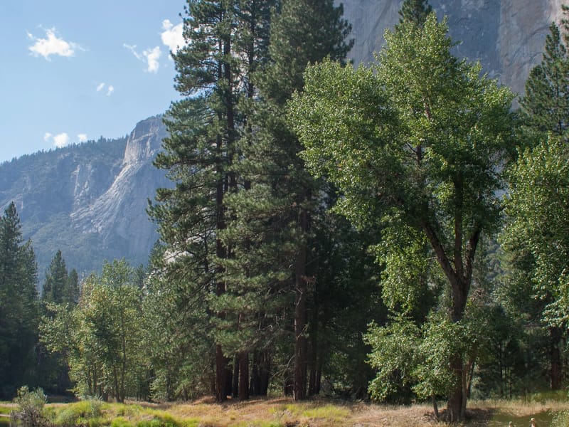El Capitan View from Cathedral Beach with Tuber