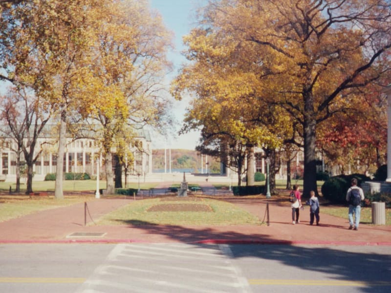 Celeste Belaying Herb on Caustic - TJG