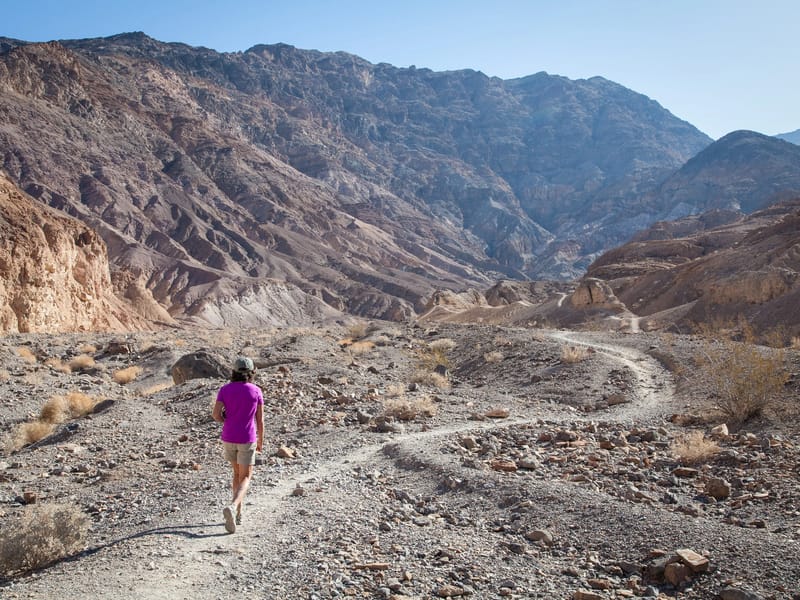 Lolo Hiking Mosaic Canyon