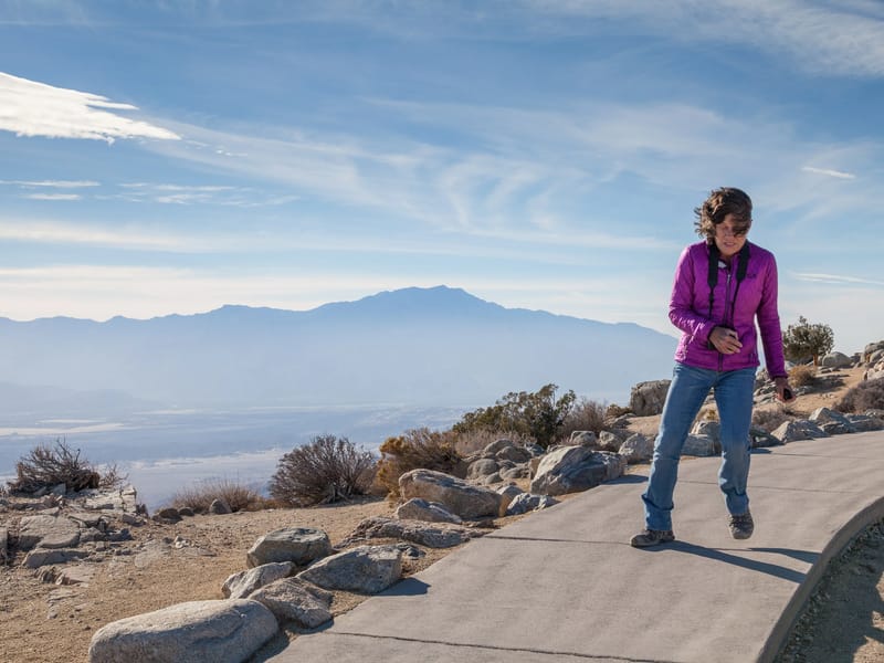 Lolo with Keys View Lookout Wind