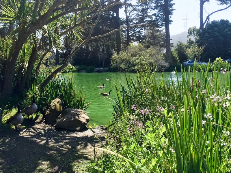 Stow Lake