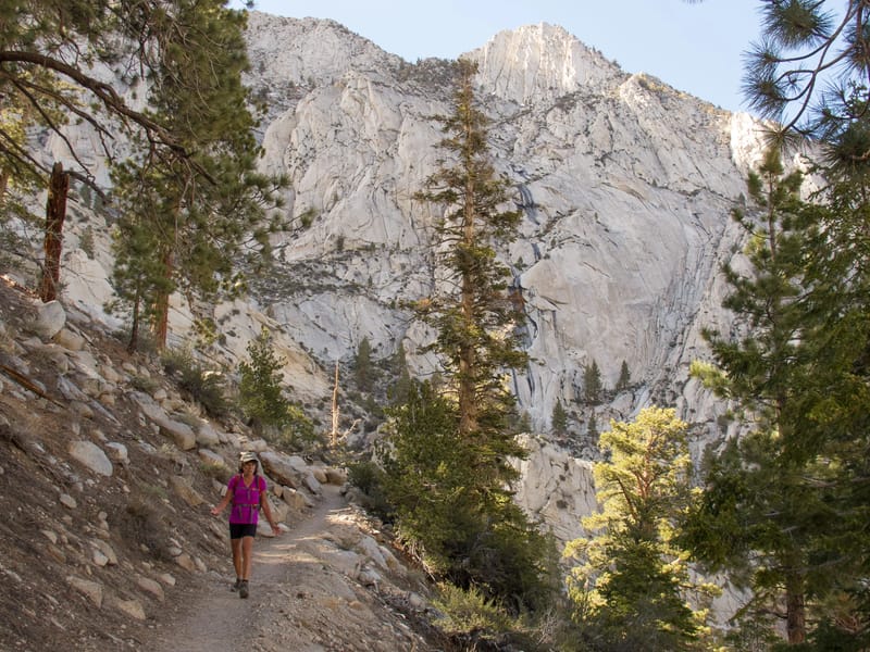 Lolo Hiking from Lone Pine Lake