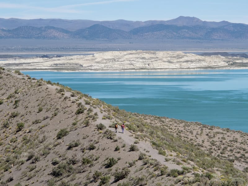 Panum Crater Rim Trail