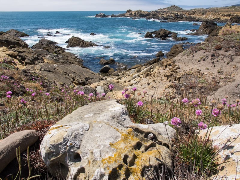 Salt Point State Park Coastline
