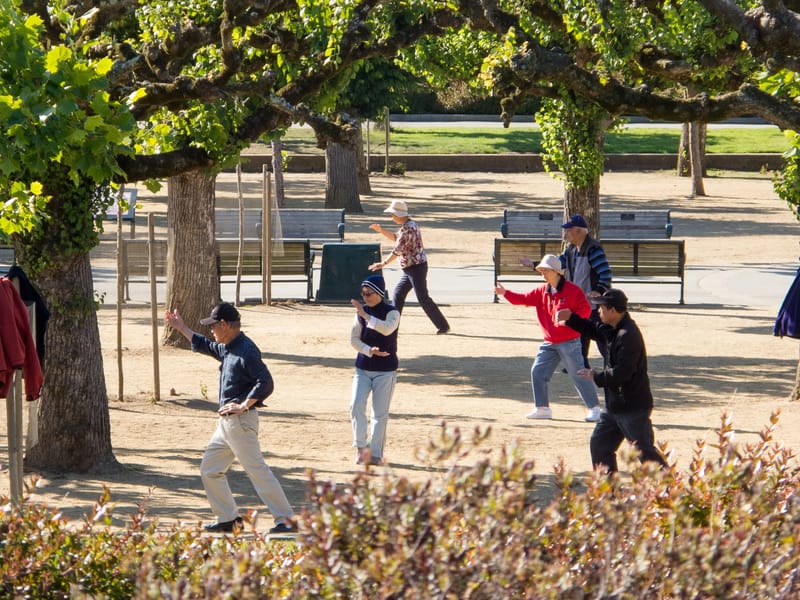Tai Chi in Golden Gate Park