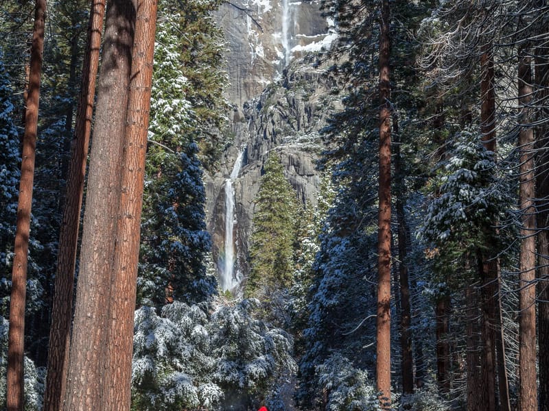 Family with Yosemite Falls