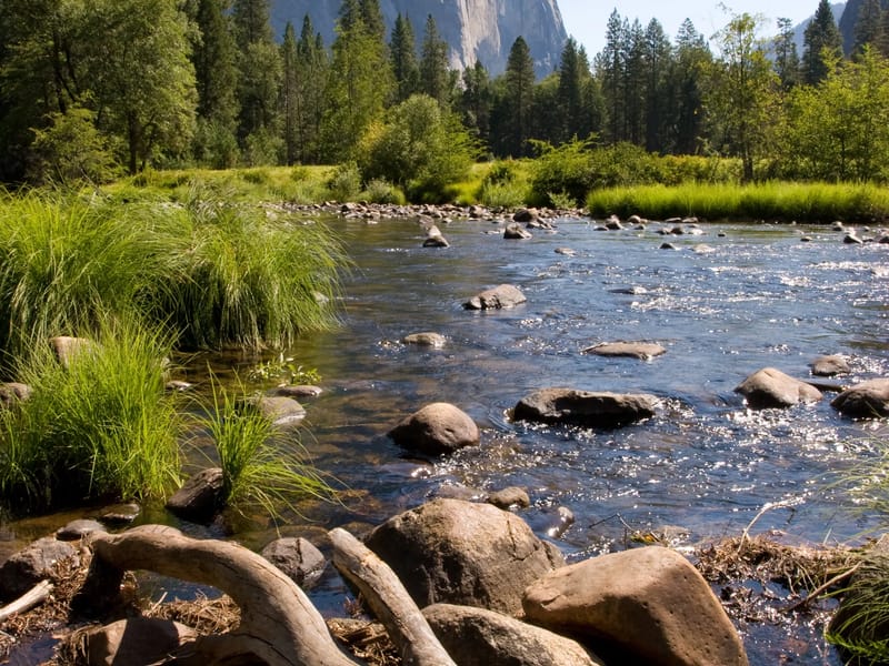 Precarious Descent to the Overlook
