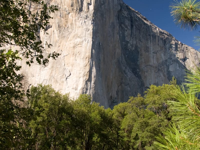 Last Day in Yosemite