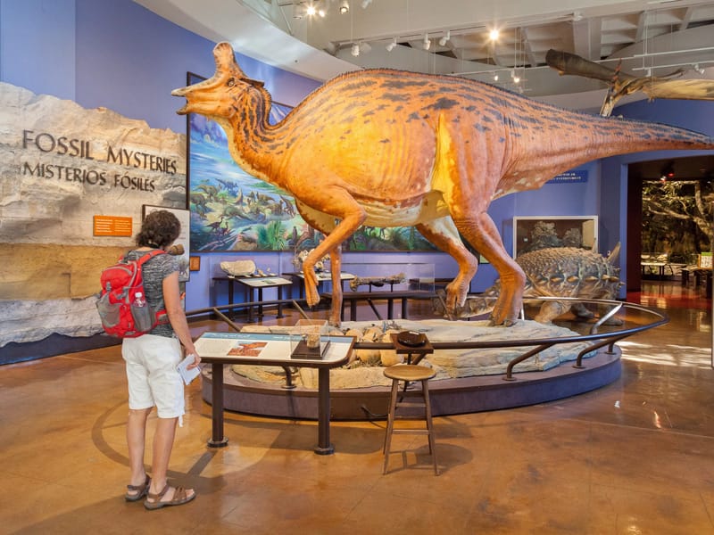 Museum of Natural History