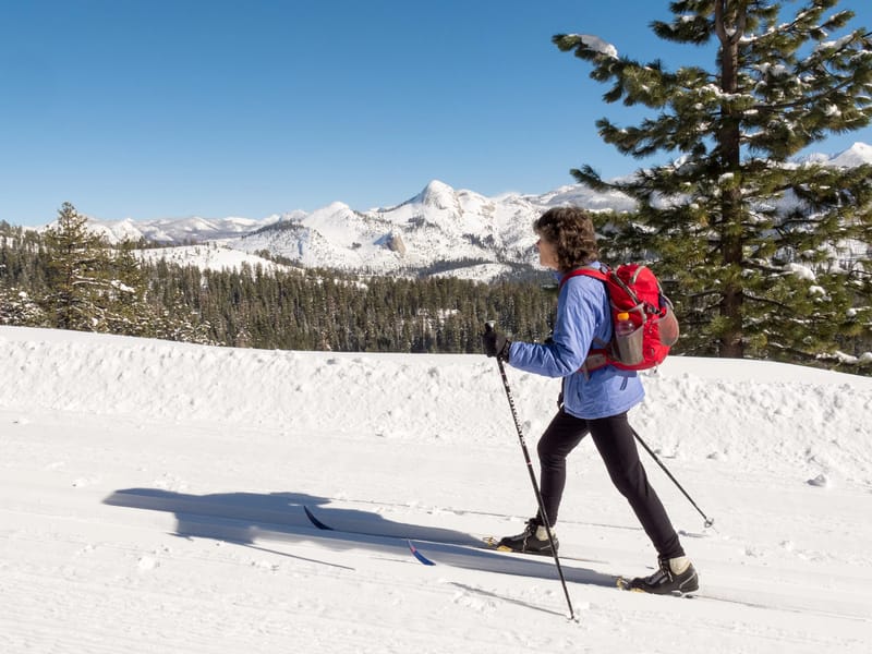 Lolo with Clark Range in Background