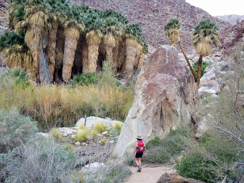 Our own little oasis