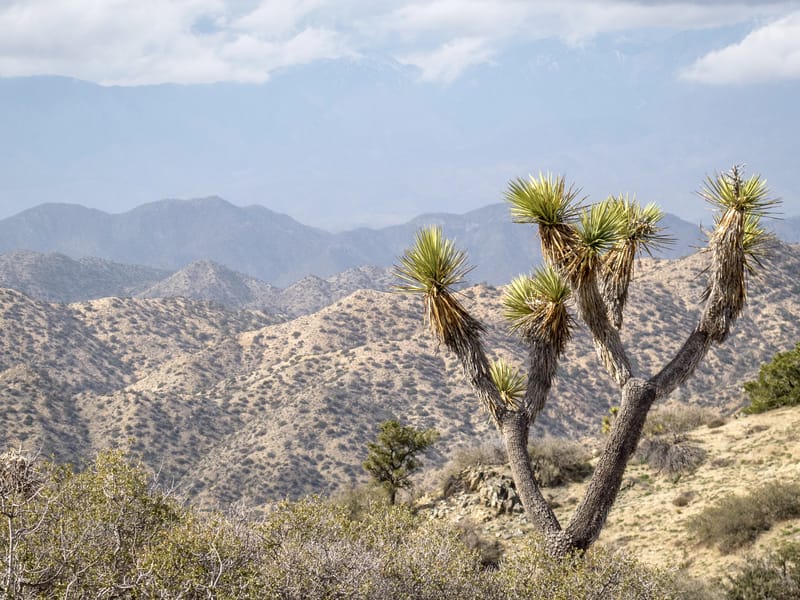 Covington Flats to Eureka Peak