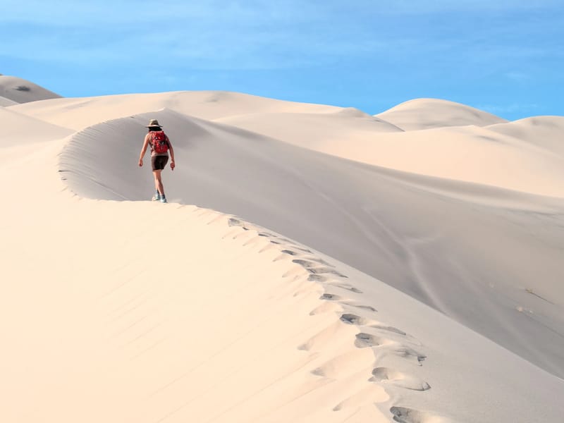 Lolo on Eureka Dunes