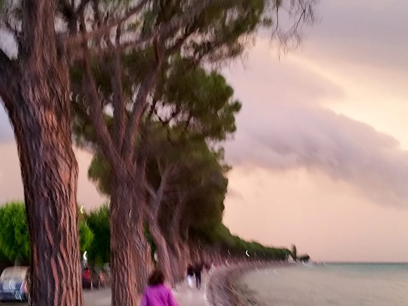 Running to beat the storm