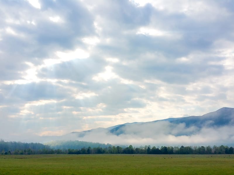 Cades Cove Meadow