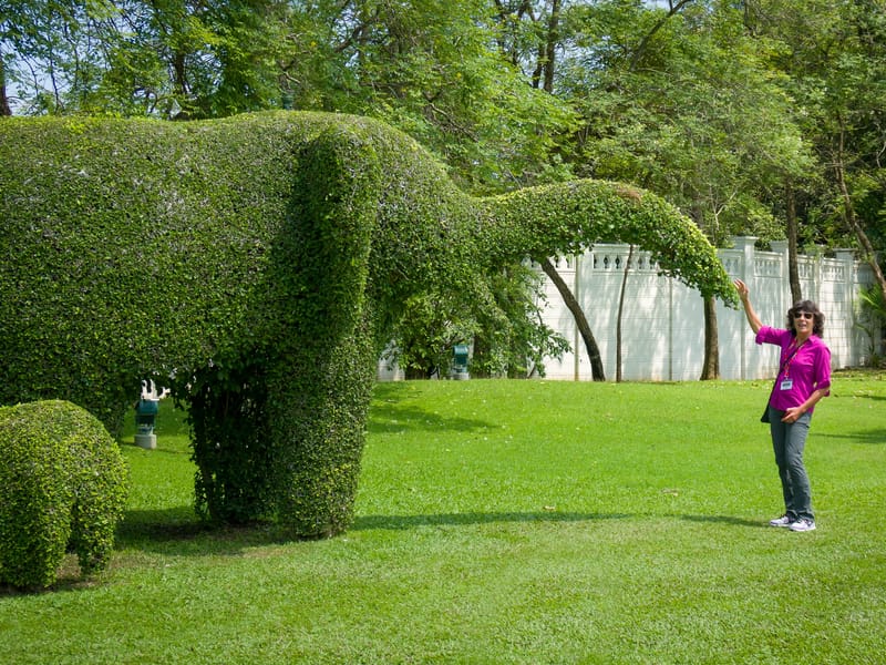 Lolo playing with the elephants at Bang Pa In