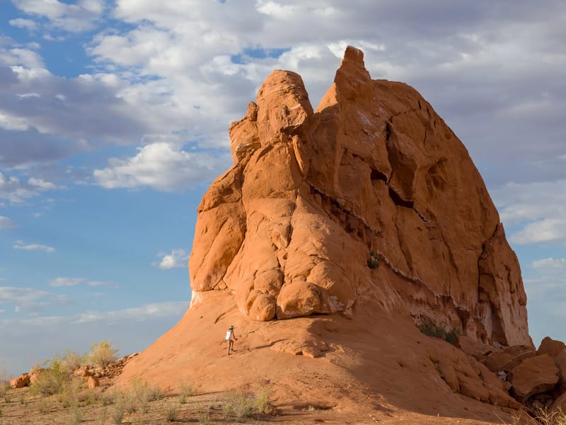 Lolo exploring rocks around Halls Creek Bay